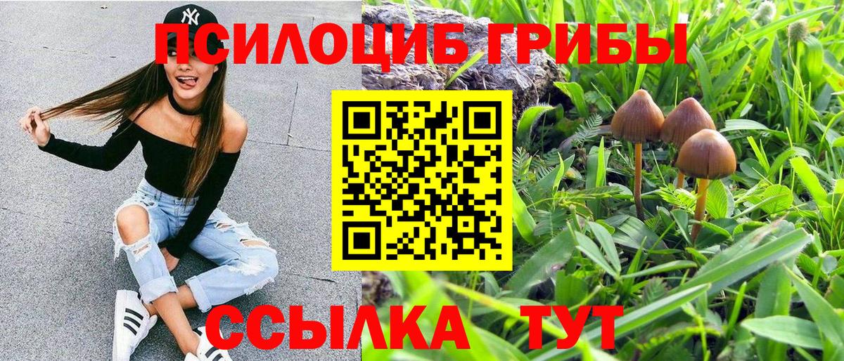 Псилоцибиновые грибы Cubensis Краснодар