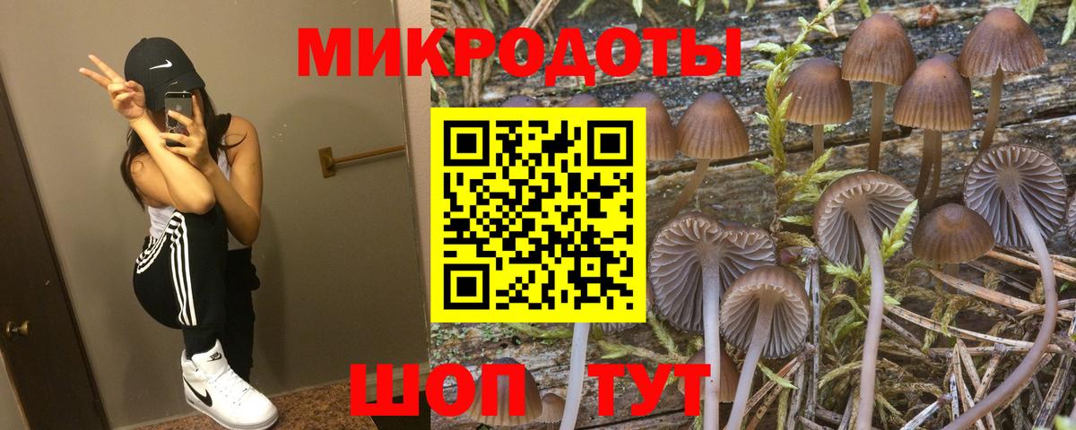 Галлюциногенные грибы мухоморы  Вход с VPN  Краснодар  Псилоцибиновые грибы мицелий 
